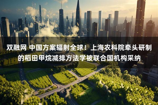 双融网 中国方案辐射全球！上海农科院牵头研制的稻田甲烷减排方法学被联合国机构采纳