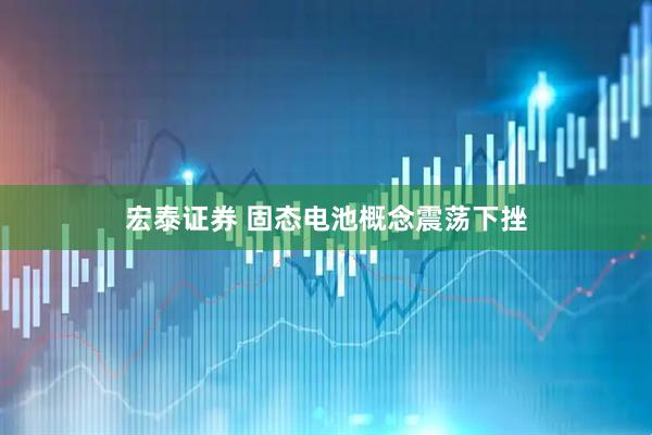 宏泰证券 固态电池概念震荡下挫