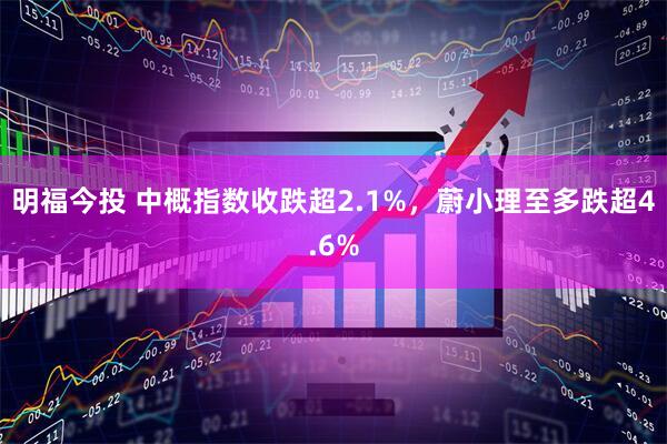 明福今投 中概指数收跌超2.1%，蔚小理至多跌超4.6%